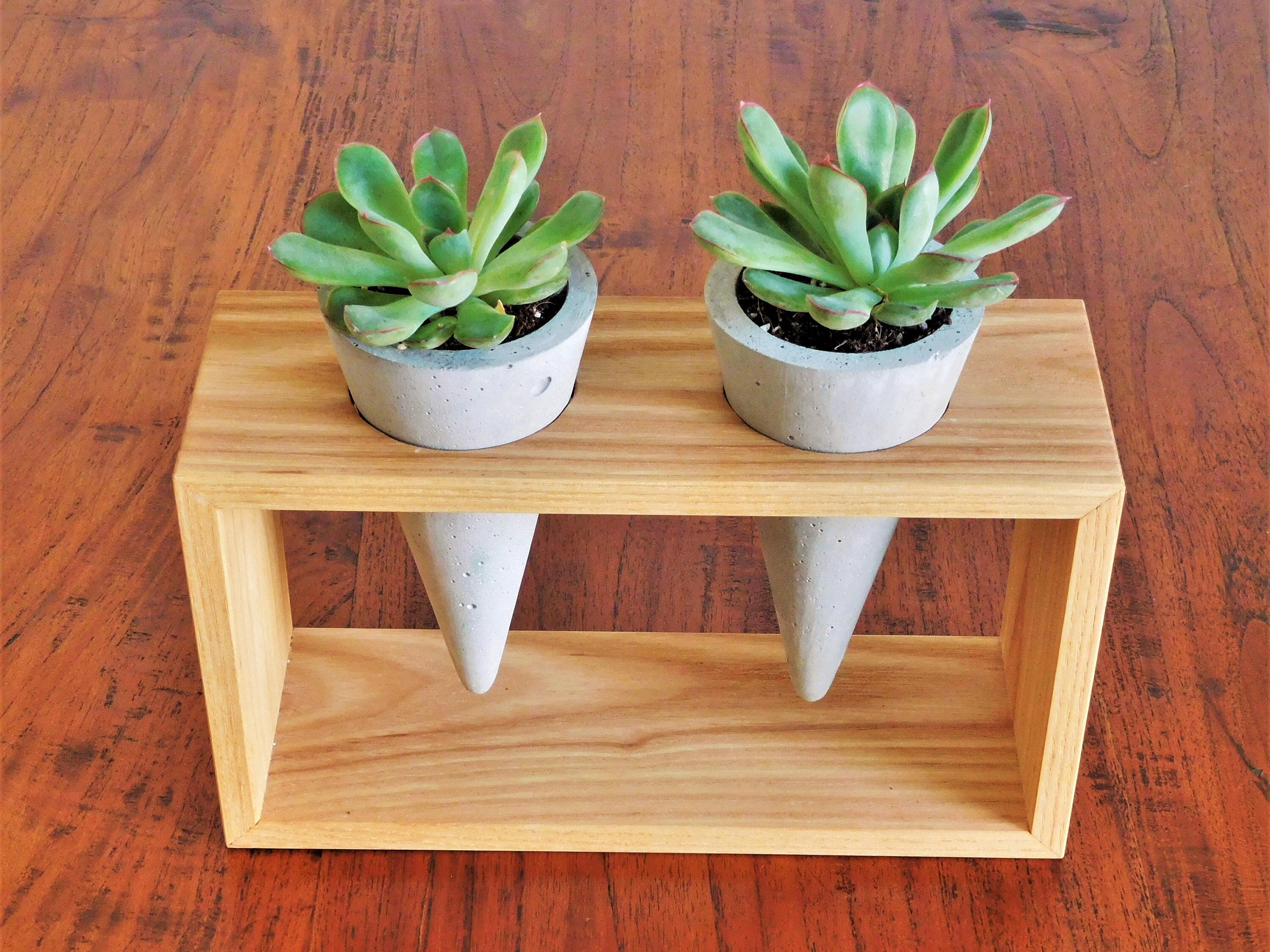 Concrete Cone Planter Stand Wooden Indoor Small Plant Stand Etsy UK
