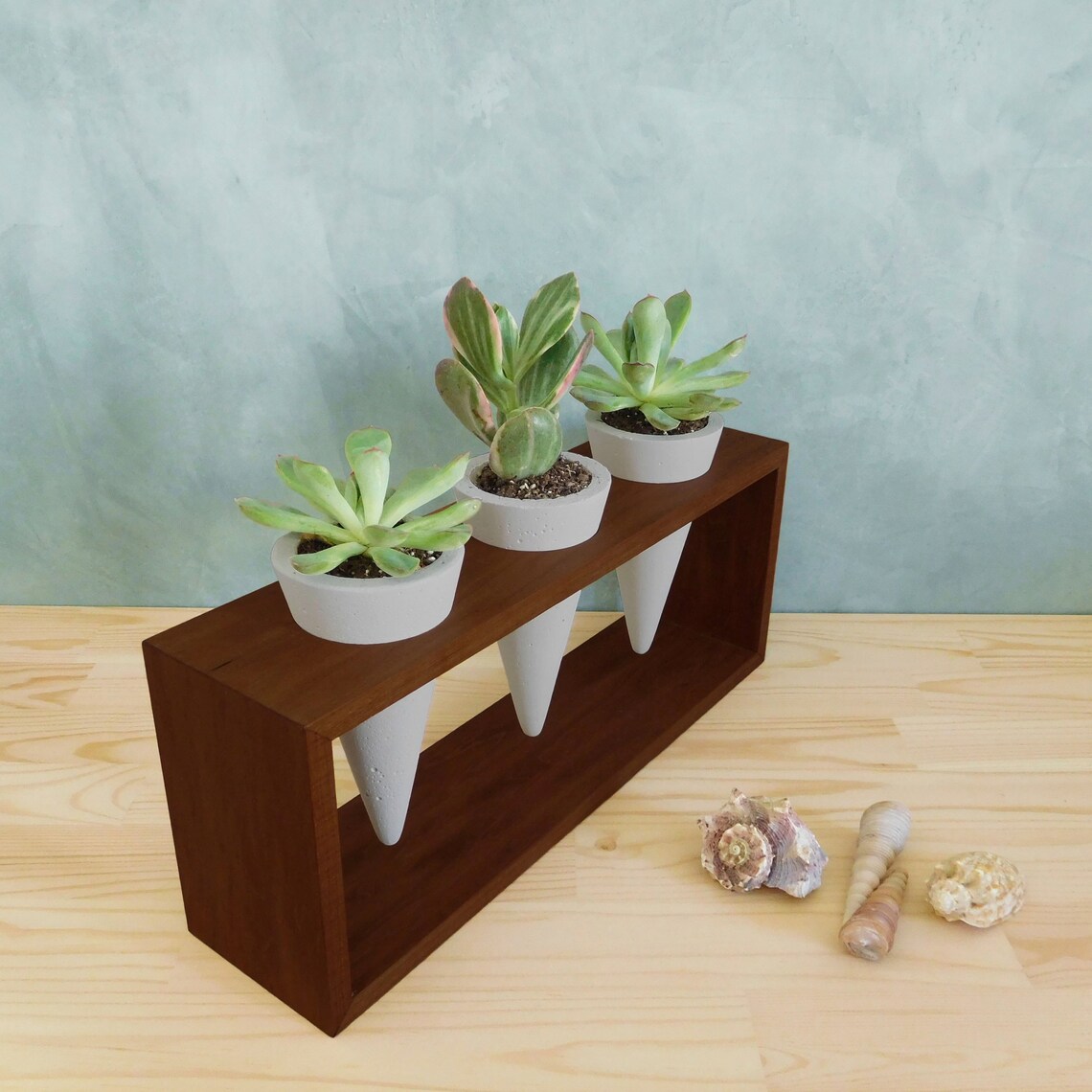Concrete Cone Planter Stand Set of 3 Pots Cactus Succulent Etsy