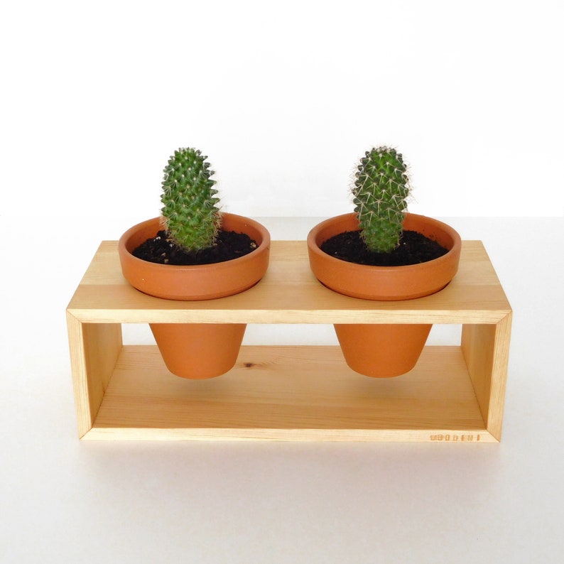 Wood plant stand with 2 clay pots cactus pot set terracotta Etsy