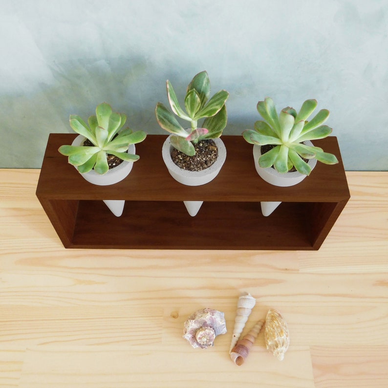 Concrete Cone Planter Stand Set of 3 Pots Cactus Succulent Etsy