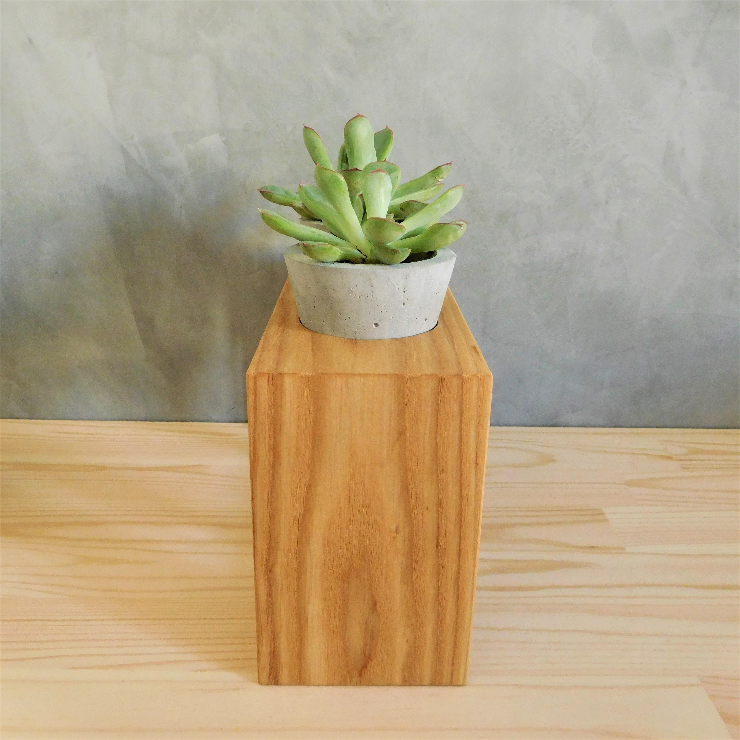 Concrete Cone Planter Stand Wooden Indoor Small Plant Stand Etsy UK