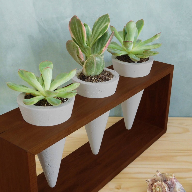 Concrete Cone Planter Stand Set of 3 Pots Cactus Succulent Etsy