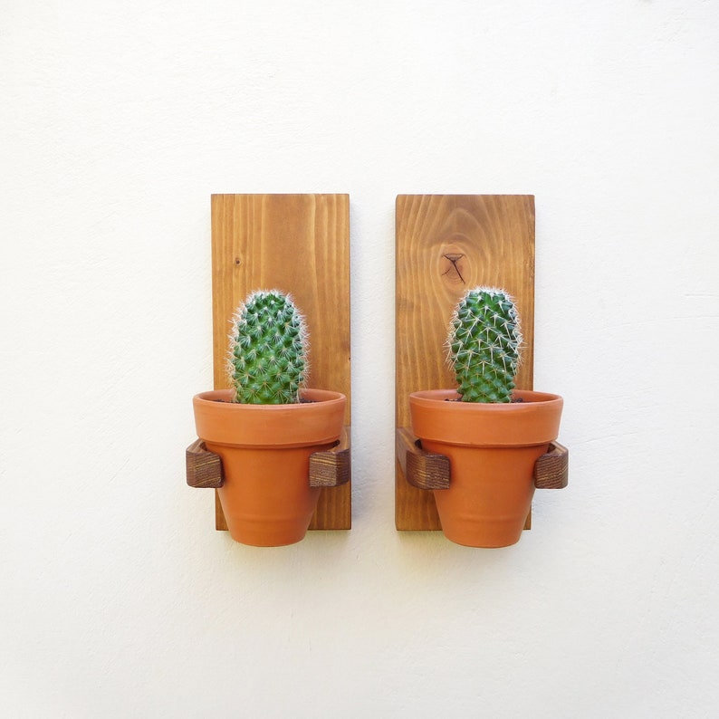 Wood mounted plant hanger with succulent pot wall mounted rustic plant holder terra cotta cactus planter sets succulent wall planter garden