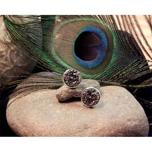 May include: A pair of silver stud earrings with iridescent glitter embedded in the round stones.