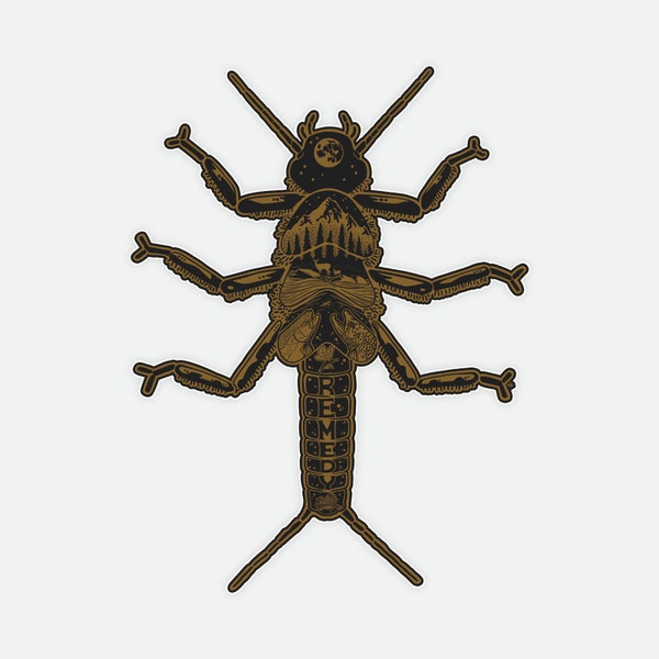 Golden Stonefly Decal