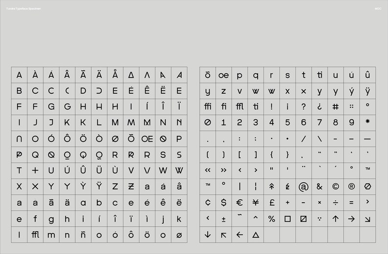 May include: A grid-based design featuring a complete alphabet, numbers, and symbols. The letters and characters are displayed in a sans-serif font, arranged in a structured, organized layout. The color palette is neutral, with a light gray background.