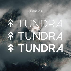 Tundra Pro Typeface - Bold Sans Serif Font with Stylistic Alternate Glyphs