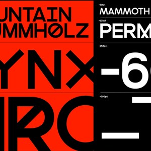 May include: Graphic design composition with text elements. Bold black text on red, black, and gray backgrounds. Words include "MOUNTAIN KRUMMHOLZ", "LYNX", "ARC", "MAMMOTH", "PERMAF", "-60", and "FI".