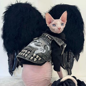 Chaleco de batalla Mosh Pit, ropa para gatos Sphynx