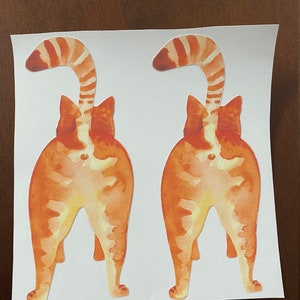May include: Two watercolor illustrations of orange tabby cats with white markings, viewed from behind. The cats are standing with their tails curled up over their backs.