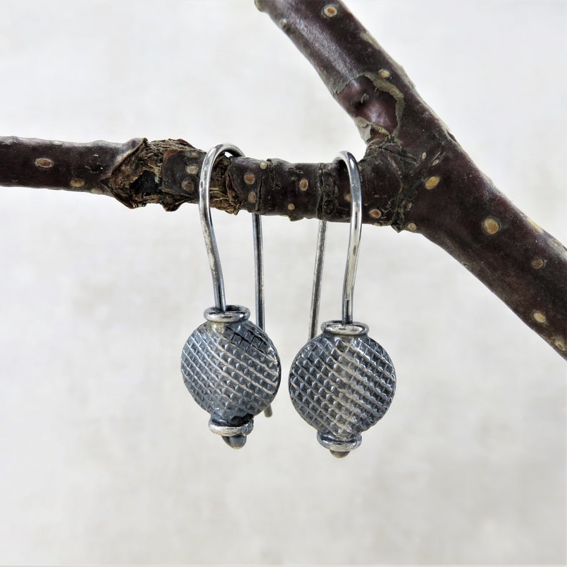 May include: A pair of silver dangle earrings with textured round discs. The earrings are hanging from a branch.