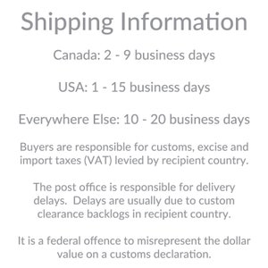 May include: Text on a white background reads "Shipping Information." Below, it lists estimated delivery times for Canada, the USA, and "Everywhere Else." Additional text addresses customs, excise, import taxes, and delivery delays.