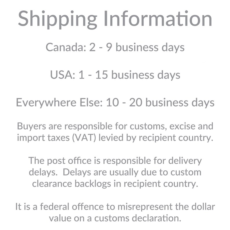 May include: Text on a white background reads "Shipping Information." Below, it lists estimated delivery times for Canada, the USA, and "Everywhere Else." Additional text addresses customs, excise, import taxes, and delivery delays.