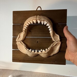 Shark Jaws