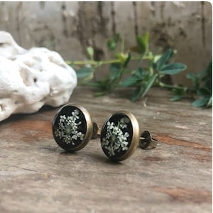 black earrings | real wild carrot flowers | each approx. 12 mm | size M | bronze-colored