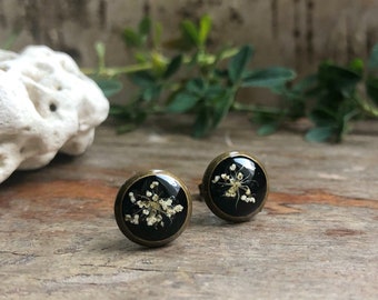small black stud earrings | real wild carrot flowers | each approx. 10 mm diameter | Size S | bronze colored