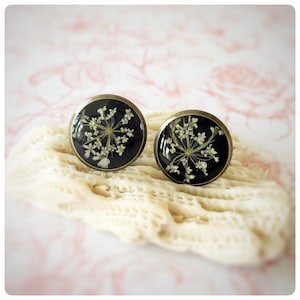 large black stud earrings | real wild carrot flowers | each approx. 14 mm | size L | bronze-colored
