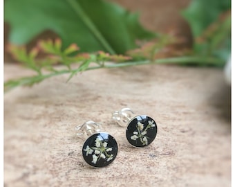 mini boucles d'oreilles à clous | argent véritable | vraies fleurs de carottes sauvages | noir | chacun environ 6 mm de diamètre