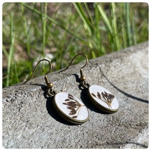 boucles d'oreilles de carottes sauvages séchées ovale vraies graines de fleurs blanc couleur bronze image 4