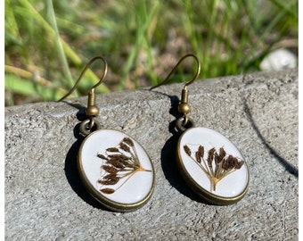 dried wild carrot earrings | oval | real flower seeds | white | bronze