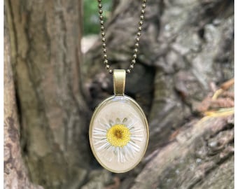 real daisy | Necklace | oval | bronze colored | sand colored