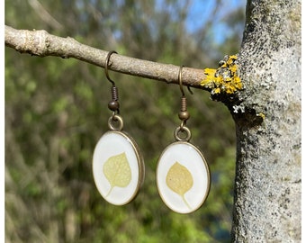 zarte grüne Blatt Ohrhänger | oval | echte Naturschätze | weiß | bronzefarben