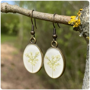 white earrings | oval shape | real wild carrot flowers | bronze colored