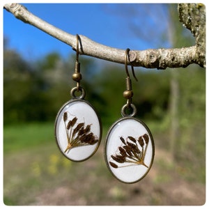 boucles d'oreilles de carottes sauvages séchées ovale vraies graines de fleurs blanc couleur bronze image 5