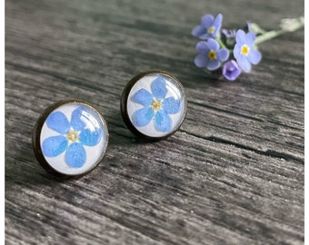 Stud earrings | real forget-me-not flowers | bronze colored | each approx. 12 mm diameter | Gr. M