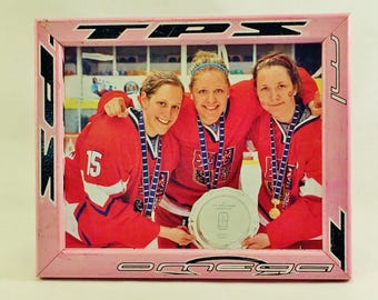 8 x 10 Hockey Stick Frame - FREE SHIPPING in US  (#4197)