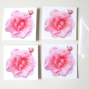 May include: Four square white cards with a pink rose design. Each card features a large, detailed pink rose with a small bud. The roses have varying shades of pink, creating depth and dimension. A white envelope is visible in the background.