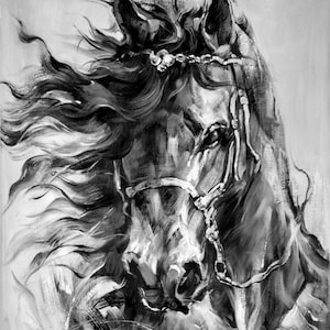 Original Hand Painted Modern Impressionist Horse Oil Painting On Canvas - Black White Fine Art