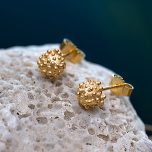 Op de afbeelding: Een paar gouden oorbelletjes met een gestructureerd, bolvormig ontwerp. De oorbelletjes liggen op een wit, gestructureerd oppervlak.