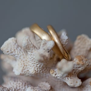 May include: Two gold wedding bands, intertwined and resting on a piece of white coral.