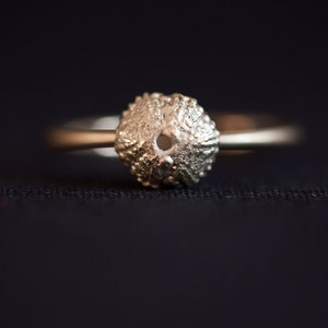 Sea Urchin Gold Ring, 14K gold minimal ring, small Sea shell Ring Gold, tiny beach jewelry, gold ring ocean, mermaids ring gold, Baby shell