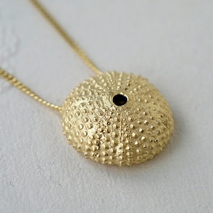 Gold Sea Urchin Necklace, gold-plated shell Necklace, long necklace gold, sea shell necklace, Sea urchin gold necklace, LARGE Ø 25 mm image 1