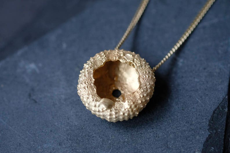 Gold Sea Urchin Necklace, gold-plated shell Necklace, long necklace gold, sea shell necklace, Sea urchin gold necklace, LARGE Ø 25 mm image 3