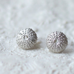 May include: A pair of silver stud earrings shaped like sea urchins. The earrings are small and delicate, with a textured surface.