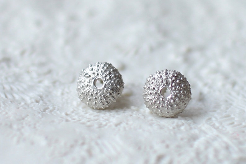 Seestern Ohrringe Gold - Muschel Ohrstecker Mit Perlen Für Sommer & Urlaub