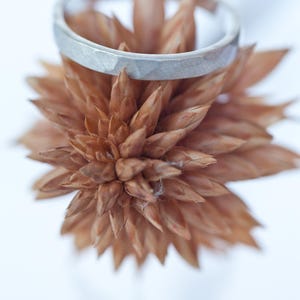 Może przedstawiać: Srebrny pierścionek o teksturowanej powierzchni spoczywa na wysuszonym, brązowym kwiatku. Pierścionek ma geometryczny wz&oacute;r i matowe wykończenie. Kwiat ma wiele spiczastych płatk&oacute;w, tworząc naturalną estetykę. Tło jest miękkie, rozmyte białe.