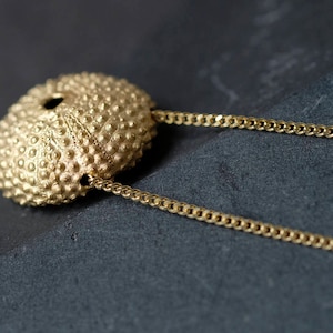 Gold Sea Urchin Necklace, gold-plated shell Necklace, long necklace gold, sea shell necklace, Sea urchin gold necklace, LARGE Ø 25 mm image 5