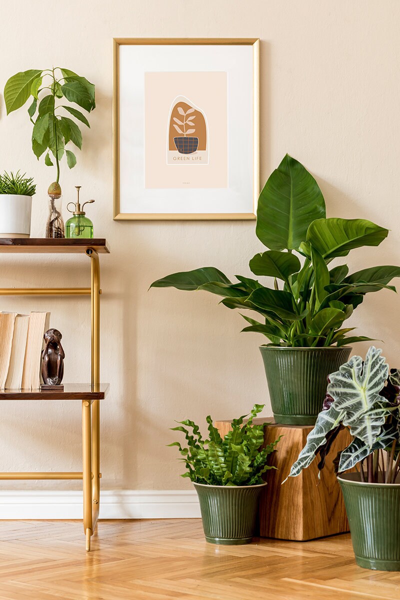 Affiche A5 Motif Botanique