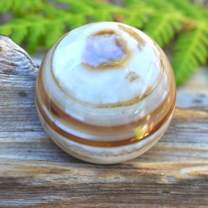May include: A spherical gemstone, polished to a high sheen, featuring bands of white, brown, and tan. The orb is set against a weathered wooden surface, with green foliage in the background. The stone's surface reflects light, highlighting its layered pattern.