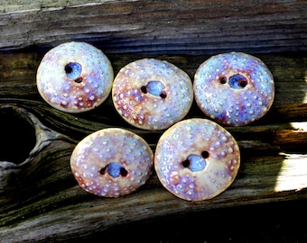 Large Handmade Stoneware Urchin Button Set