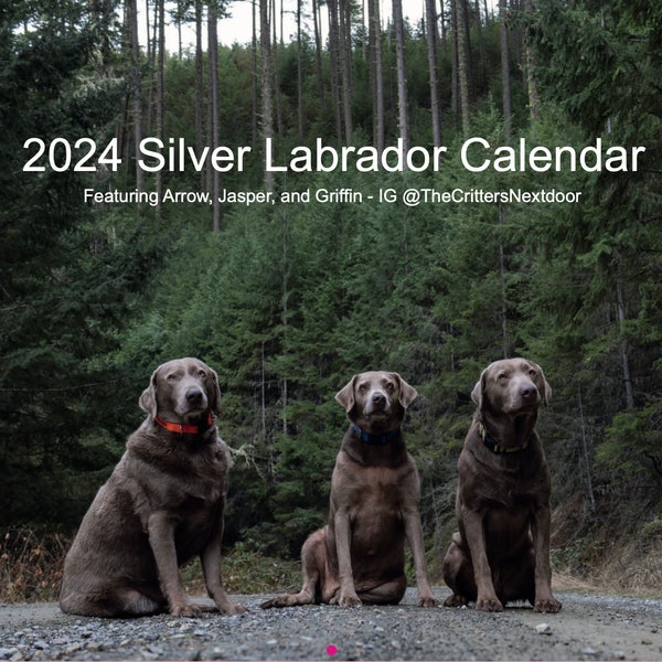 2024 Silver Labrador Retriever Calendar - Silver Lab Annual Calendar