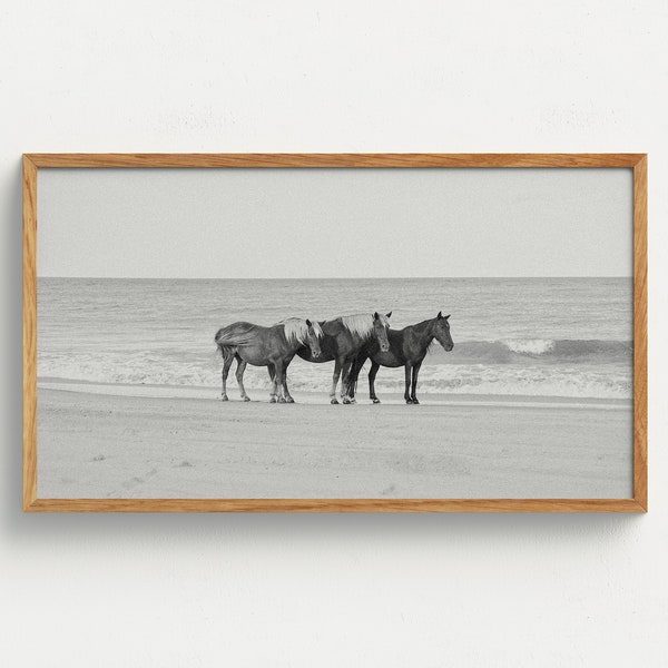 Samsung Frame TV Art Wild Horse Digital Download Black and White Horse Wall Art Photography Coastal Ocean Beach Film Photography Equine