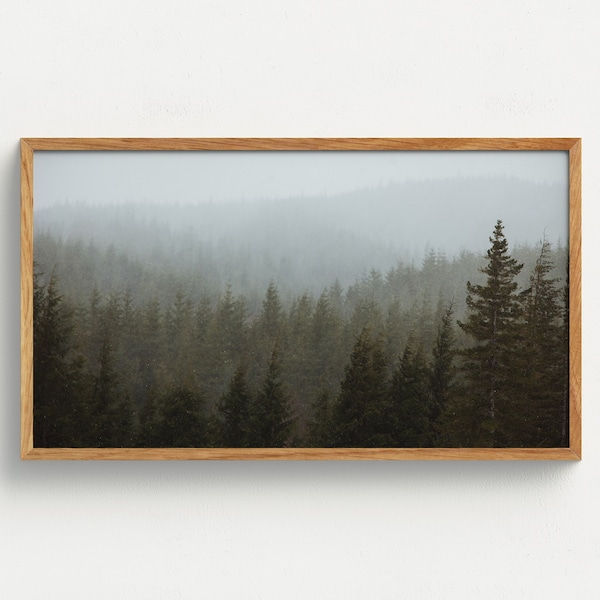 Samsung Frame TV Art Washington Forest Winter Download digitale Pacific Northwest Nature Photography Washington Photo Pacific Northwest Art