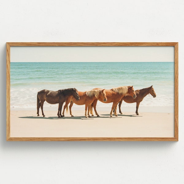 Samsung Frame TV Art Horse and Ocean Digital Download Wild Beach Horses Photography 35mm Film Photography North Carolina Coastal Wall Art