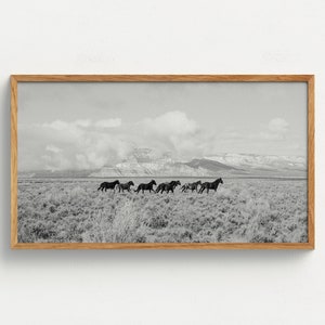 Samsung Frame TV Art Running Desert Horses Western Art Digital Download Black And White Southwest Home Decor Arizona Photography