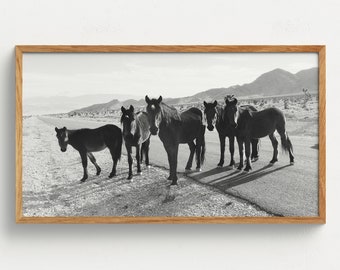 Samsung Frame TV Art Desert Road Horses Digital Download Horse Photography Western Decor Black and White Photography Southwest Wall Art